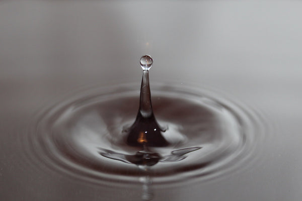 Water Droplet Macro